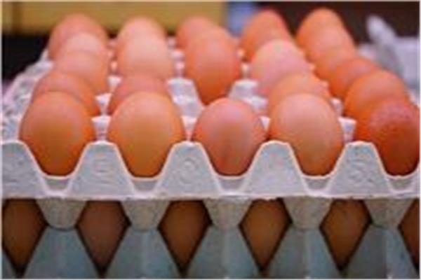 أسعار البيض اليوم الأحد 3 أغسطس