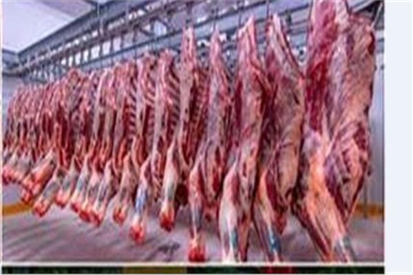 أسعار اللحوم الحمراء اليوم الأحد 10 أغسطس