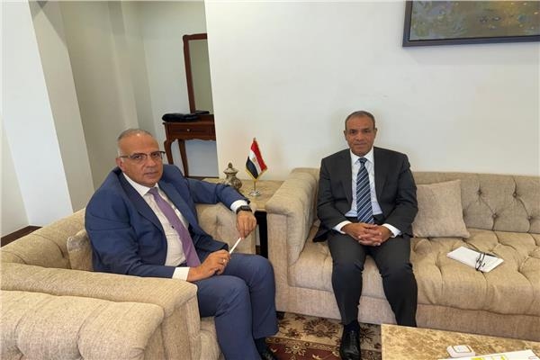 بيان مشترك لوزيري الخارجية والري يؤكد رفض الإجراءات الأحادية بحوض النيل الشرقي