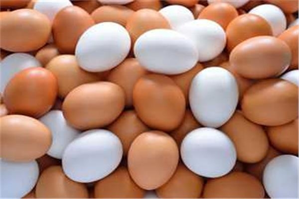 أسعار البيض اليوم الجمعة 15 أغسطس