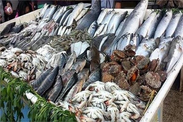 أسعار الأسماك اليوم الجمعة 15 أغسطس في سوق العبور للجملة