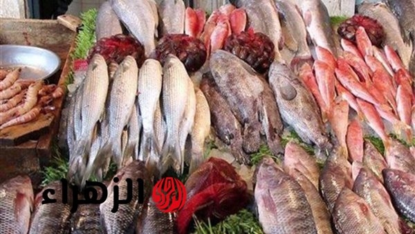 البلطي ب 82 جنيها.. تعرف على أسعار الأسماك اليوم الاثنين 14 يوليو 2025