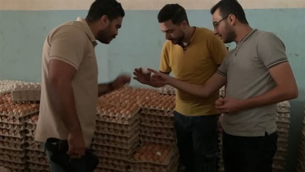 ضبط 300 ألف بيضة و11 ألف قطعة شيكولاتة فاسدة بالغربية