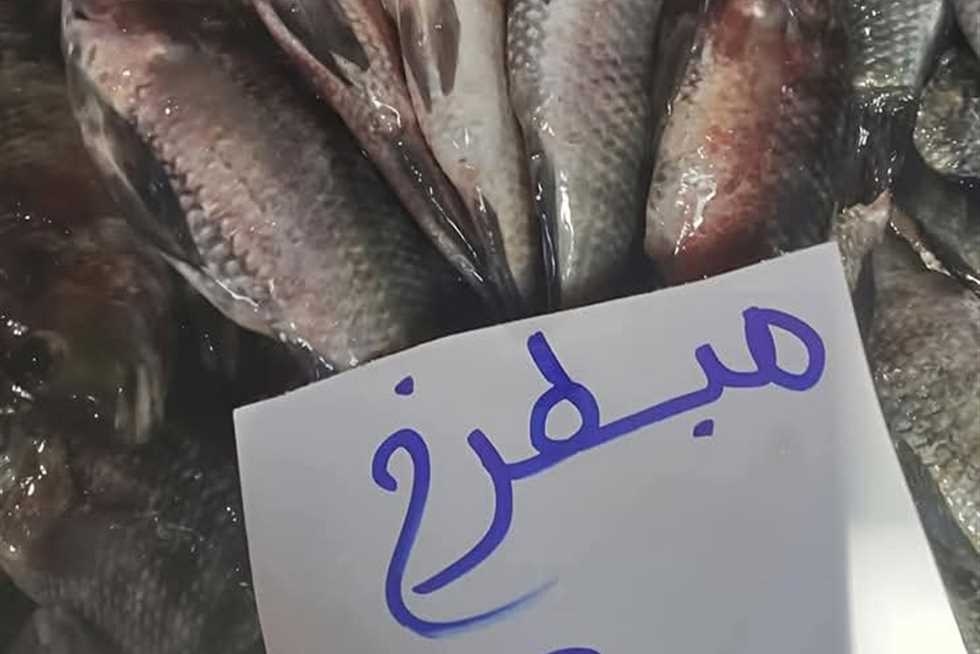 أسعار الأسماك اليوم الأحد بأسواق دمياط