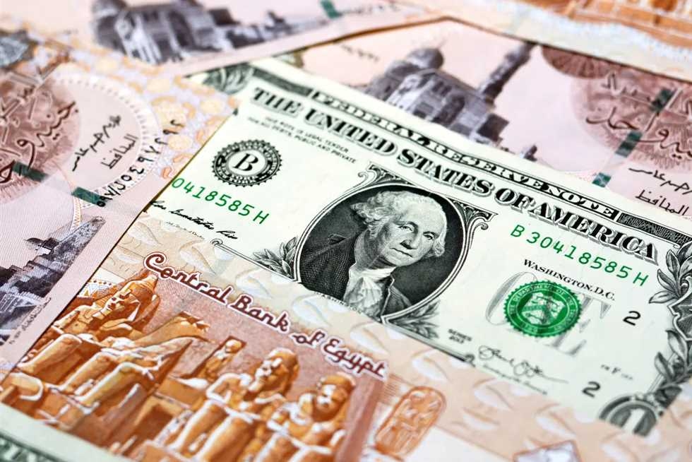 رسميا بعد الهبوط الأخير.. سعر الدولار مقابل الجنيه المصري اليوم السبت 5 يوليو 2025
