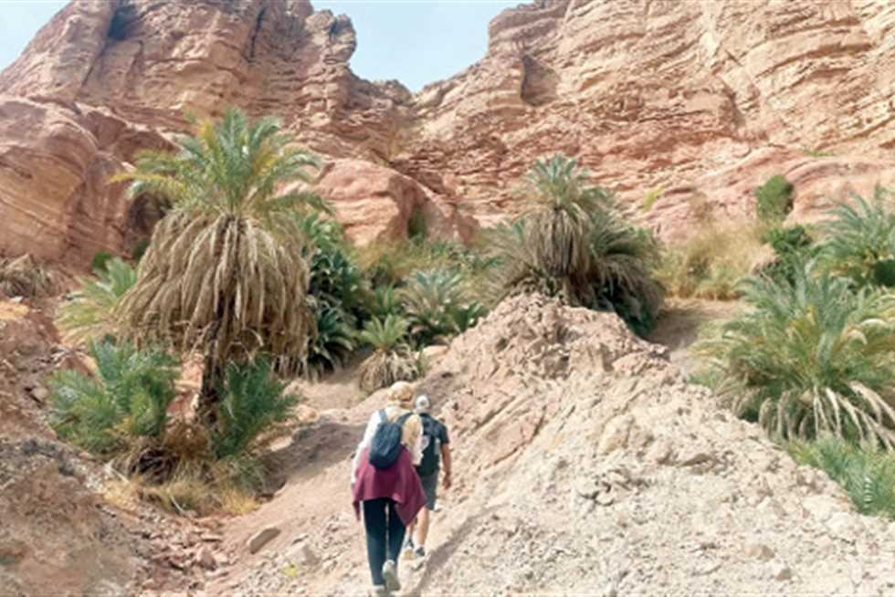 بعد عقد من التوقف.. سانت كاترين تفتح الوديان الجبلية أمام «السفاري»