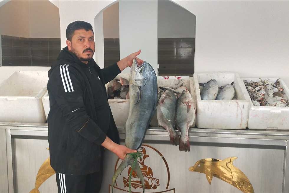 الوقار الأعلى.. أسعار الأسماك اليوم في مطروح الجمعة 25 يوليو 2025