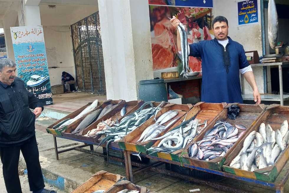 البربون ب320 جنيهًا والقاروص ب450.. أسعار الأسماك والمأكولات البحرية اليوم في مطروح