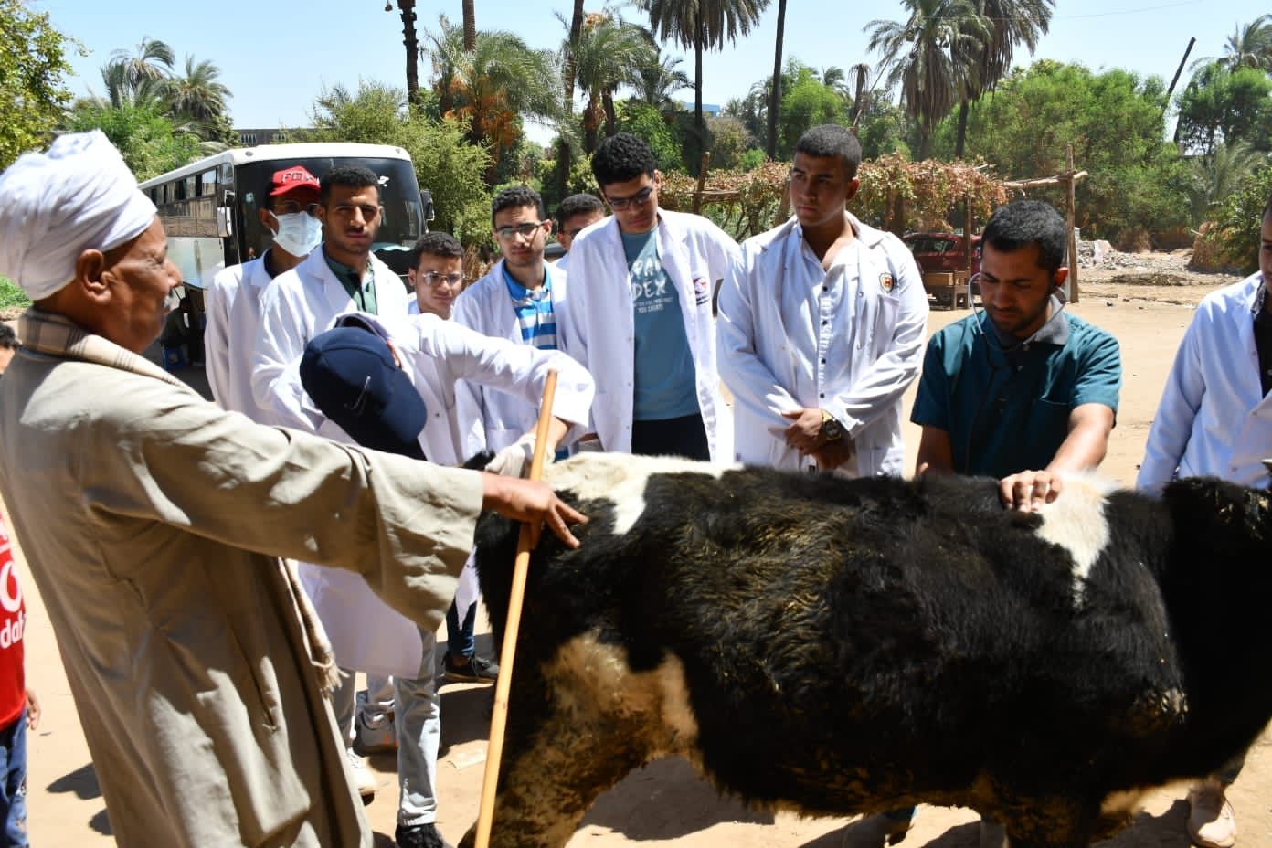 مدير عام الطب البيطري سوهاج يناشد المواطنين سرعة تحصين حيواناتهم ضد العترة الجديدة