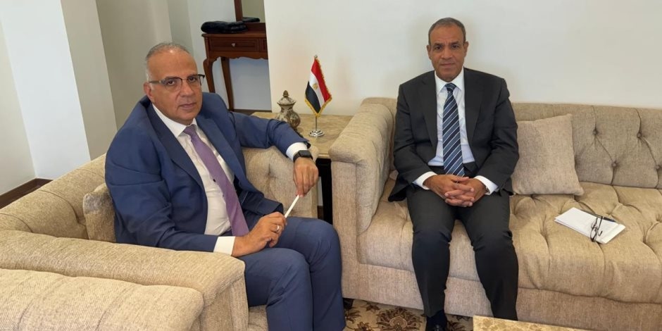 وزيرا الخارجية والرى: نرفض كل إجراء أحادى يخالف القانون بحوض النيل الشرقى