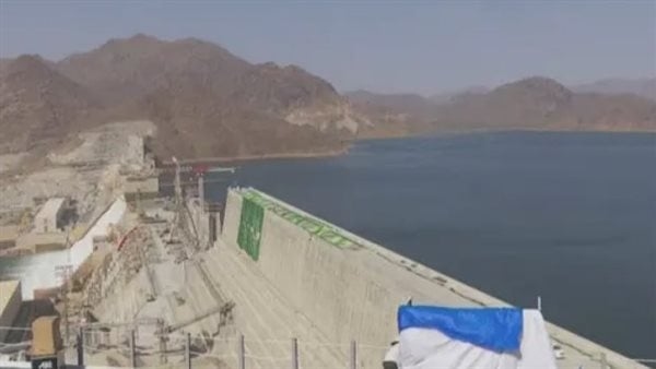 وزير الخارجية: قضية مياه النيل وجودية ولن تتهاون في الدفاع عن حقوقنا