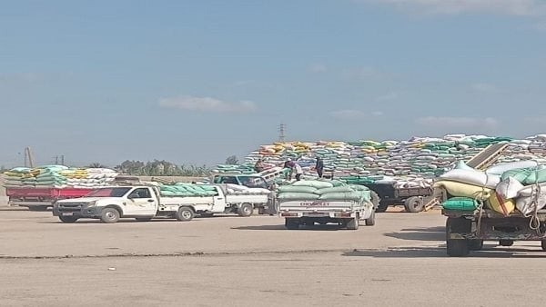 محافظ الشرقية: توريد 602 ألف و614 طن طن قمح إلى الصوامع حتى الآن