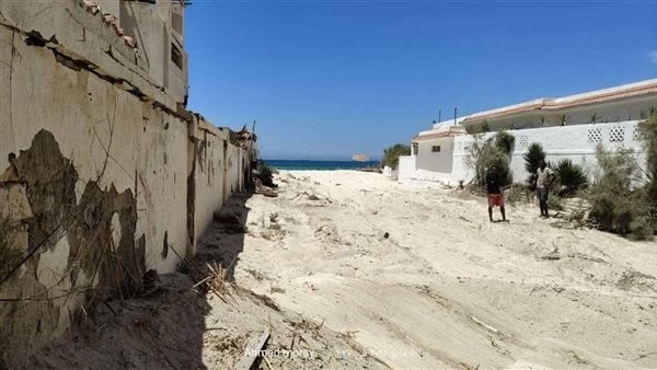 كلب ضال جديد يعقر 12 شخصا جديدا في بيانكي وارتفاع العدد إلى 21 حالة خلال 24 ساعة