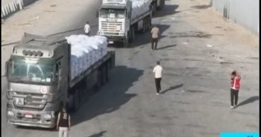 هيئة فلسطينية: كلمة الرئيس السيسي واضحة ومصر دورها محورى منذ بدء الحرب