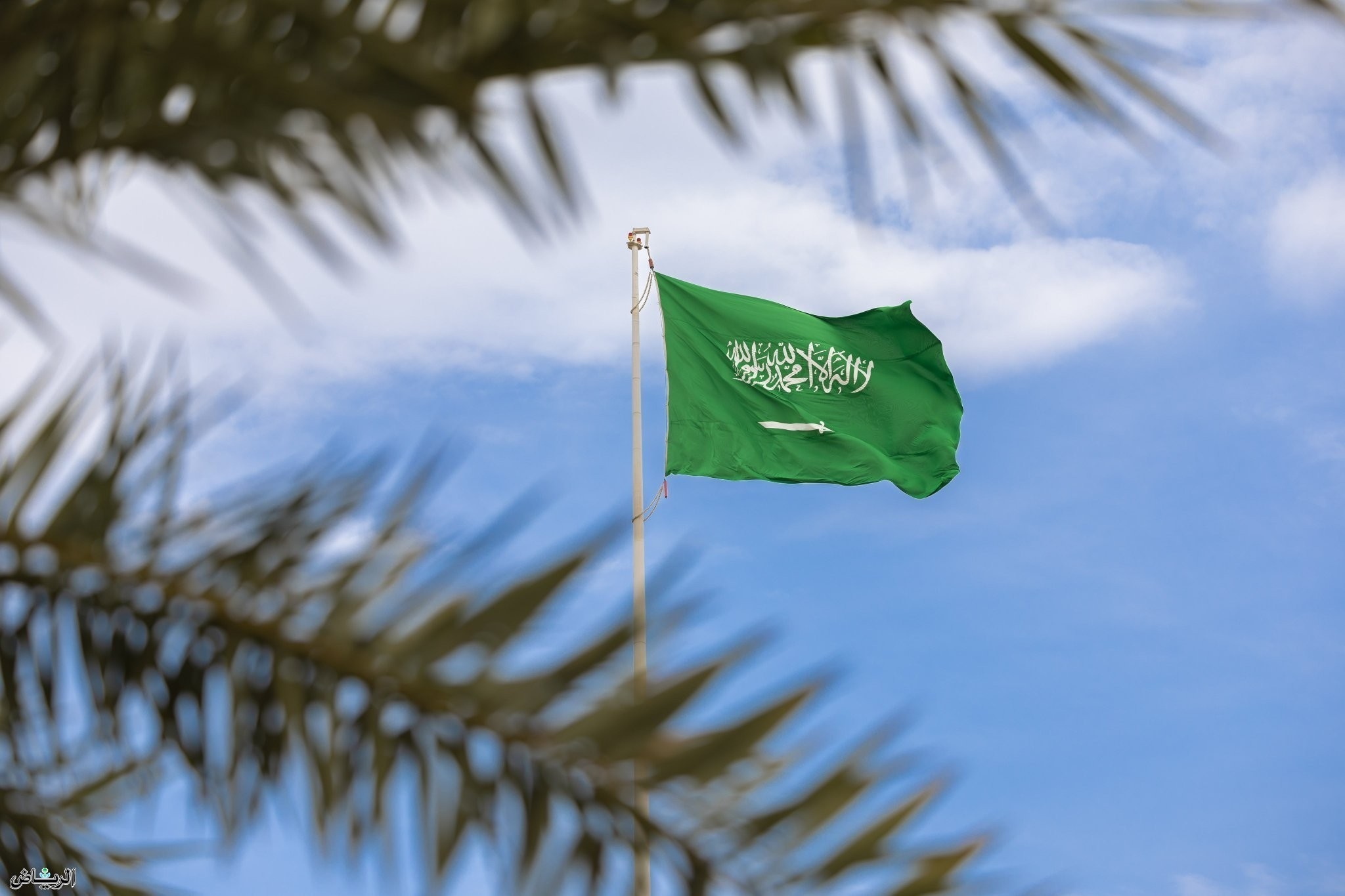 مصر في صدارة الدول المستفيدة من المساعدات السعودية