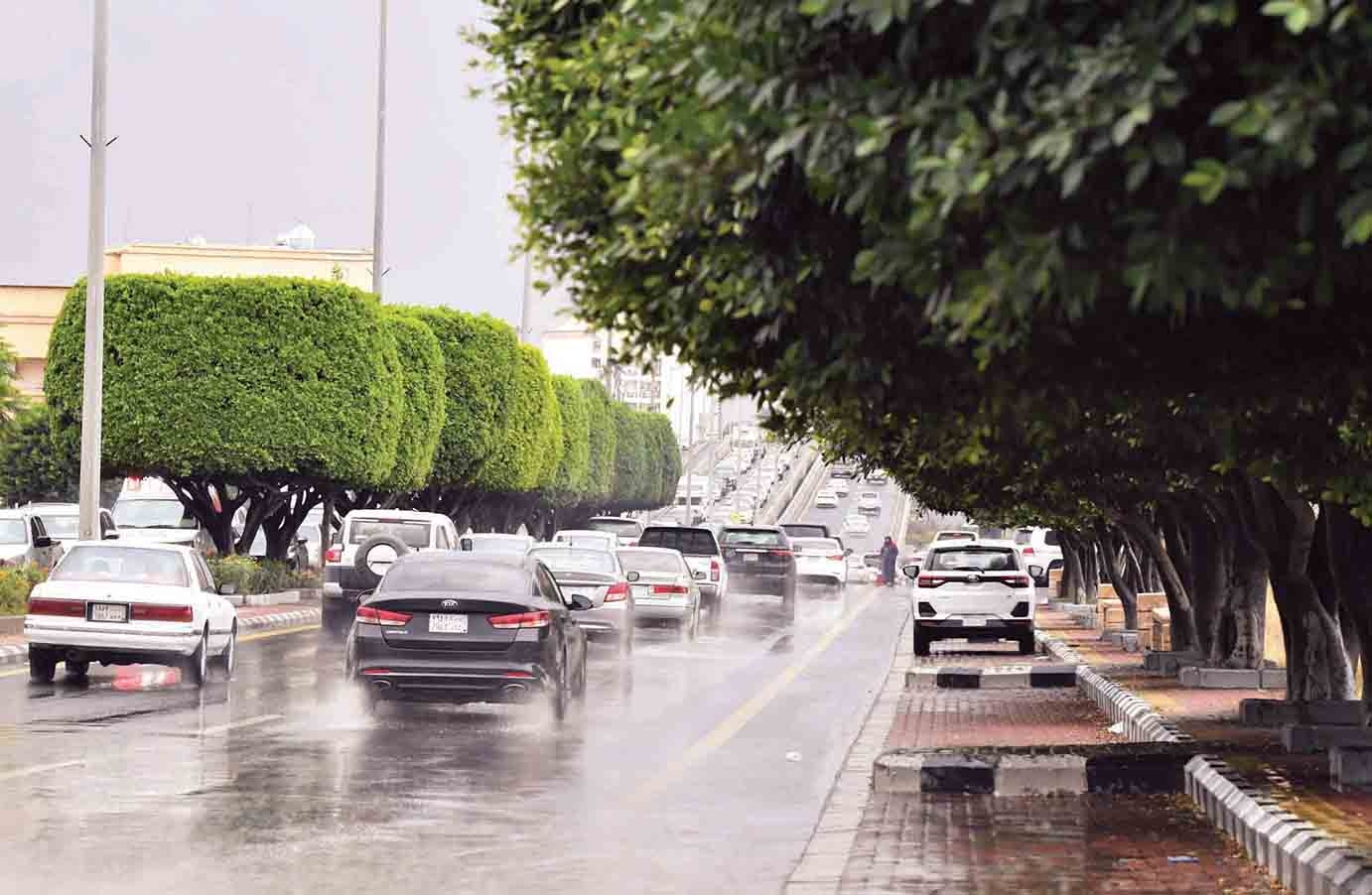 المطر يرسم فرحة المصطافين في أبها