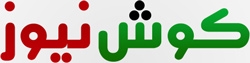 البرازيل تمنح أنشيلوتي الفرصة الأخيرة