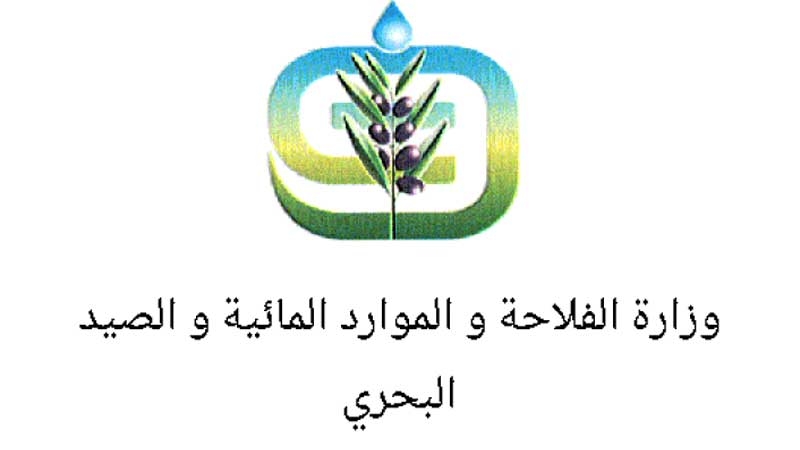 الإعلان عن انطلاق موسم جني الحلفاء