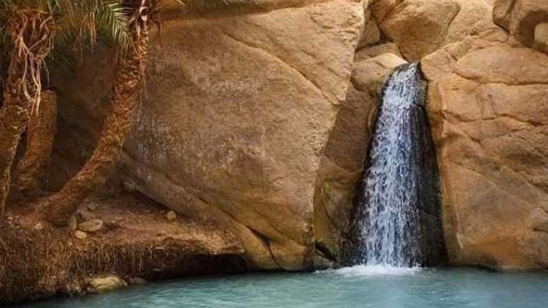 أماكن تزورها...بلاد الجريد حضارة وتراث وتقاليد