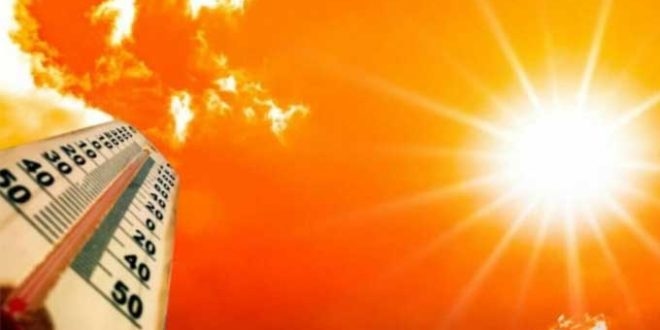 المصدر نشر في المصدر يوم 15 - 07