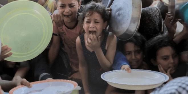 عاجل/ ارتفاع ضحايا التجويع في غزة إلى 251 شهيدا..