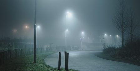 تونس – الطقس: سماء صافية وضباب في وقت متأخر من الليل