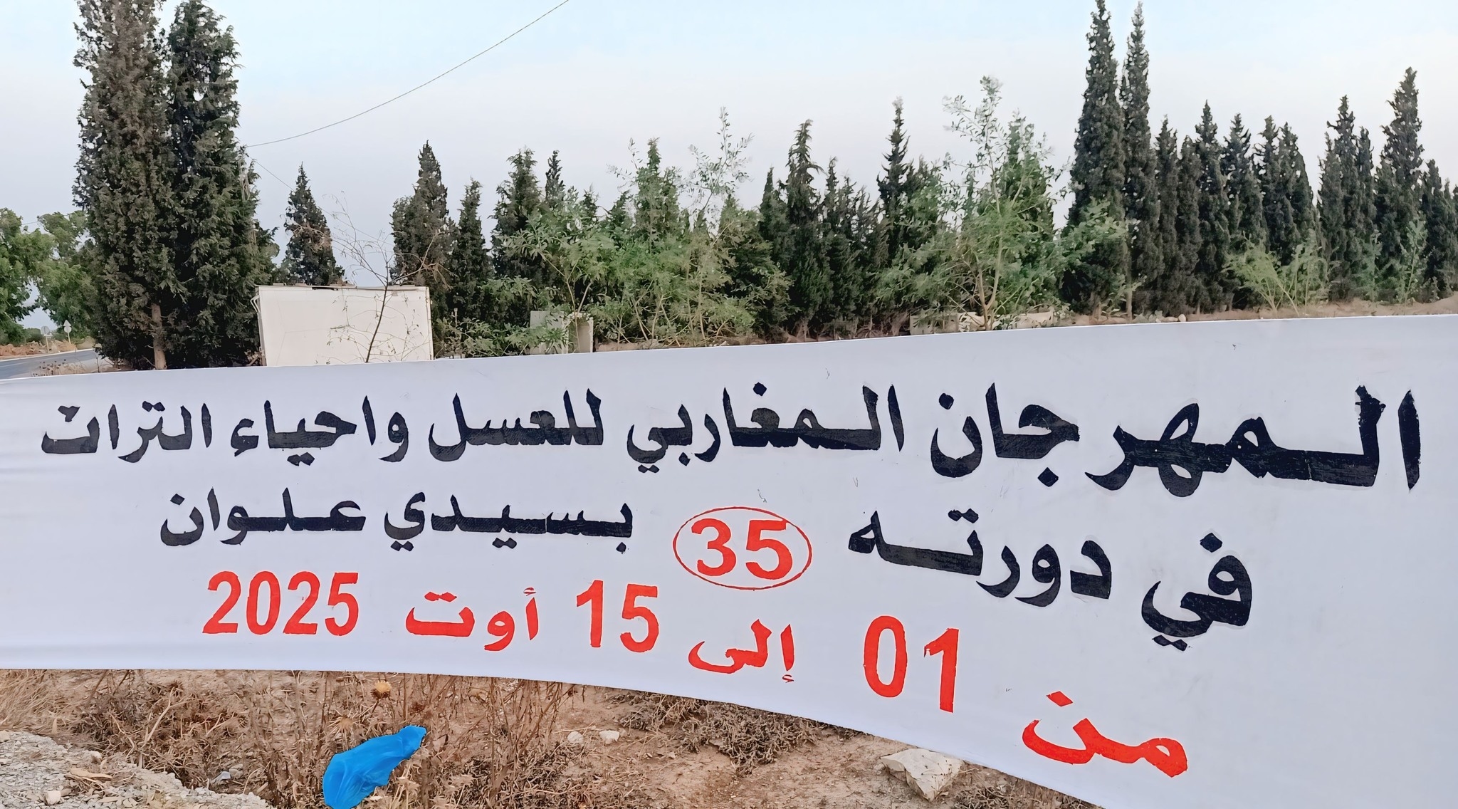 المهدية: "لجنة مختصة تختبر 65 عينة لنحو 20 طن من العسل المشارك في مهرجان العسل بسيدي علوان"
