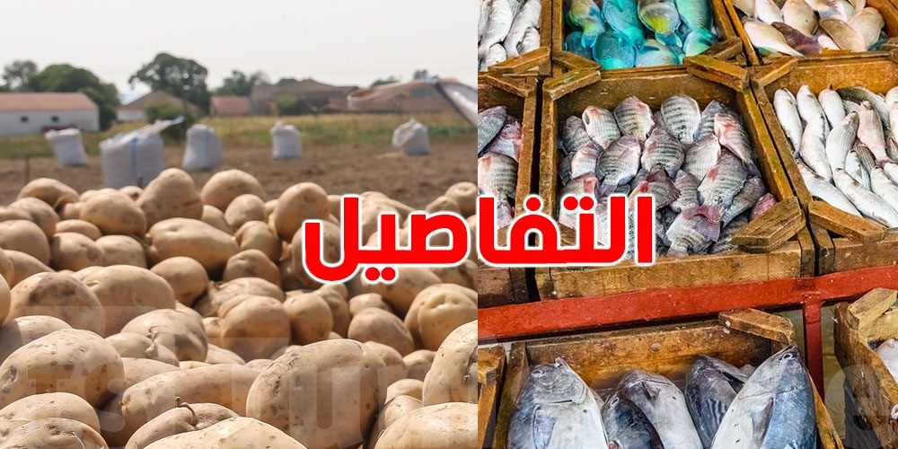 عاجل: تسقيف أسعار البطاطا والسمك يدخل حيّز التنفيذ