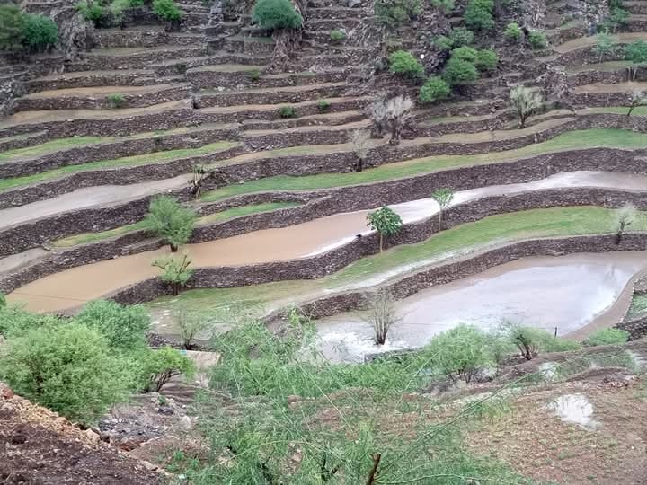 ) وغرب محافظتي (