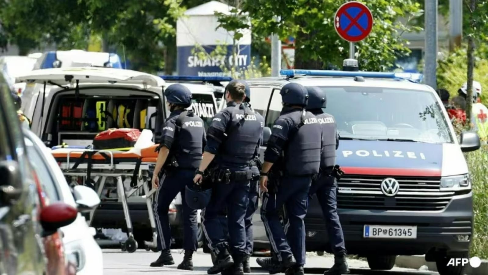 Former pupil kills nine, then himself in shooting at Austrian school