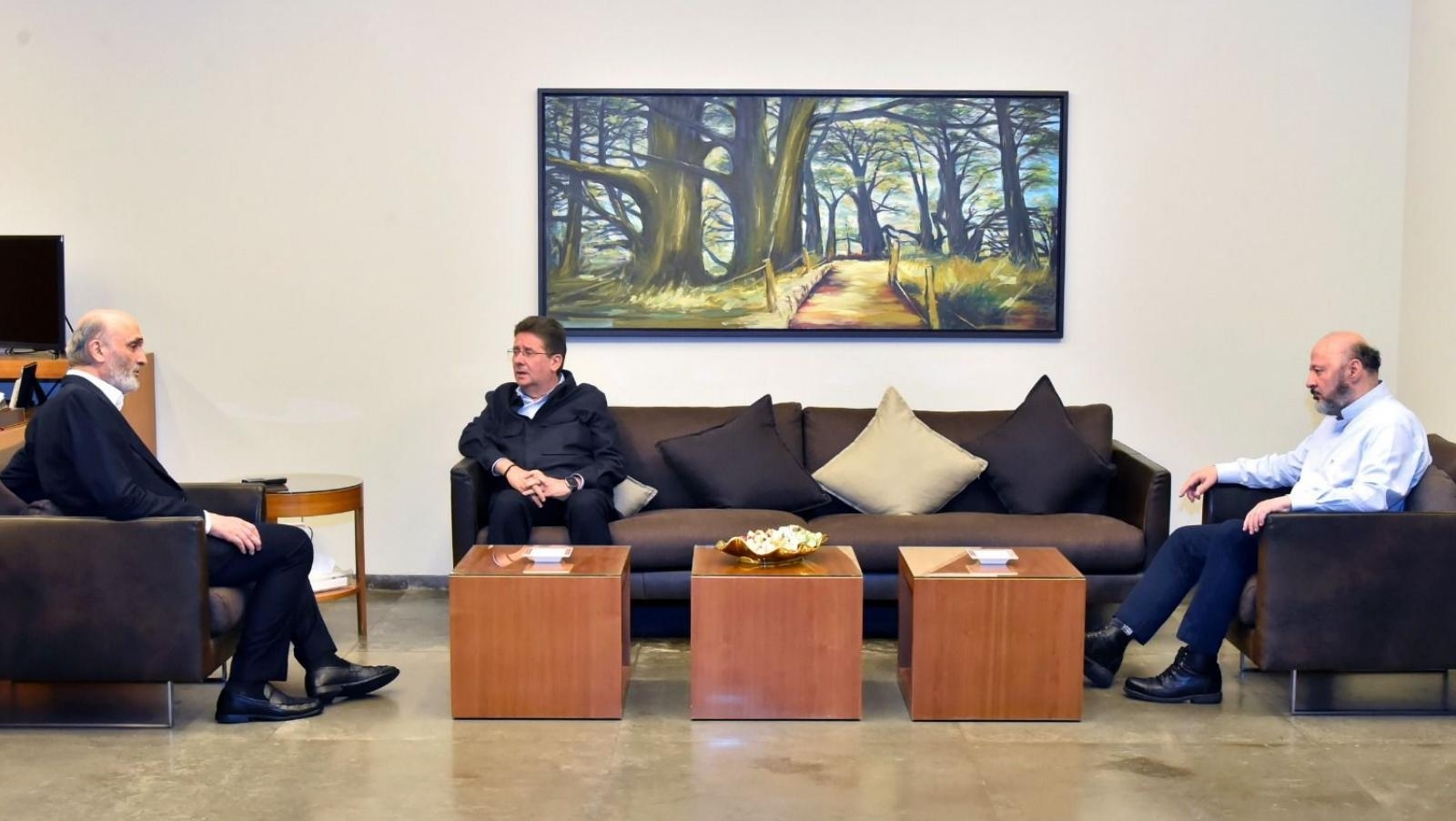 Kanaan meets Geagea, calls for dialogue in national interest