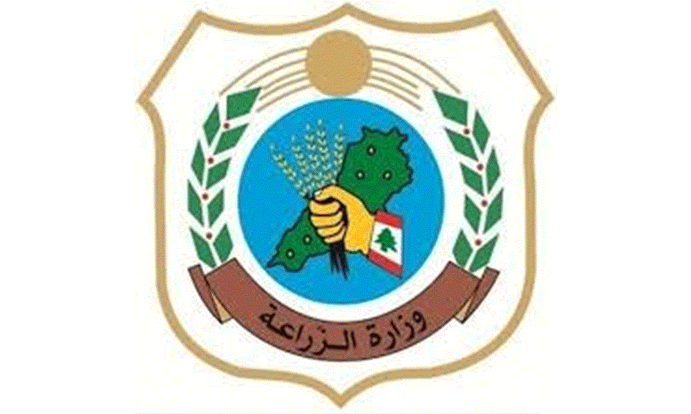 بشرى من 'الزراعة' لهذا القطاع