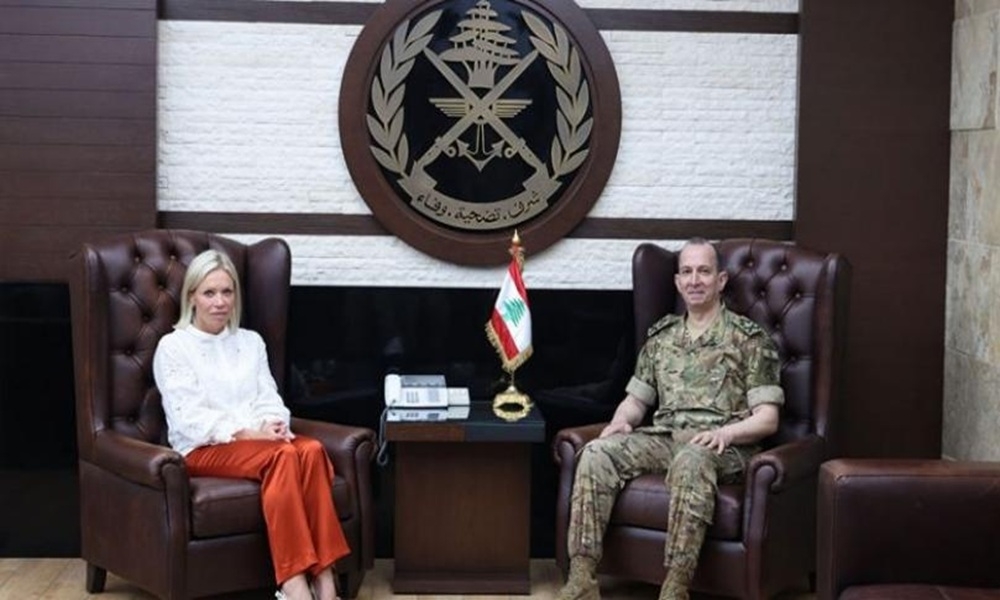 الأوضاع العامة بين هيكل وبلاسخارت