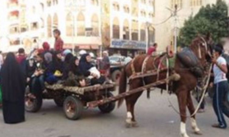 هنرجع للعربيات الكارو ونلغي ركوب التوك توك.. ردود أهالي الأقصر بعد قرار رفع أسعار البنزين والسولار