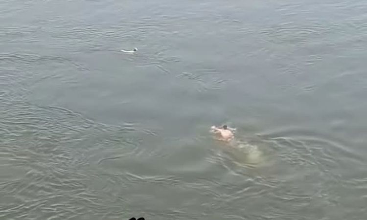 سائق ميكروباص ينقذ شابا حاول إنهاء حياته غرقا بمياه النيل ببنى سويف
