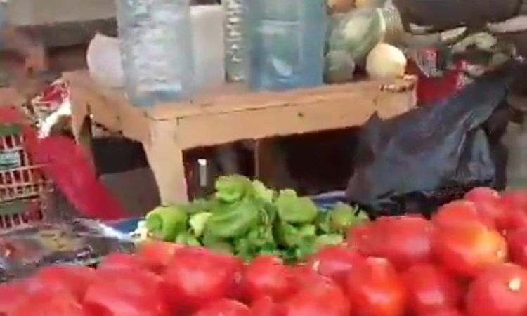 عودة جنون الطماطم بالأقصر.. وتجار: انتهاء محصول الصعيد وارتفاع البنزين السبب