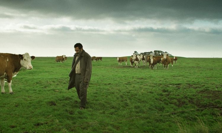 جائزتان لفيلم "يونان" وأربع جوائز للأفلام العربية في مهرجان روتردام للفيلم العربي