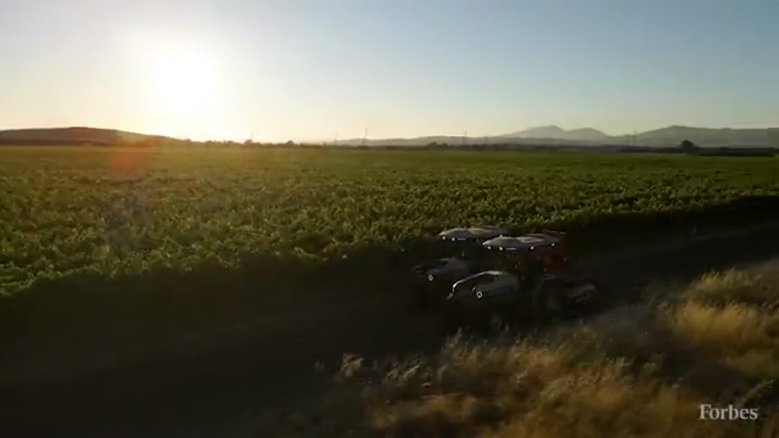 How Data is Catching Pests And Revolutionizing Farming