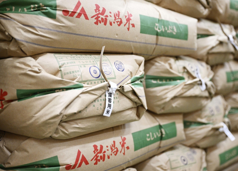 Japan eyes more rice exports as domestic consumption set to decline