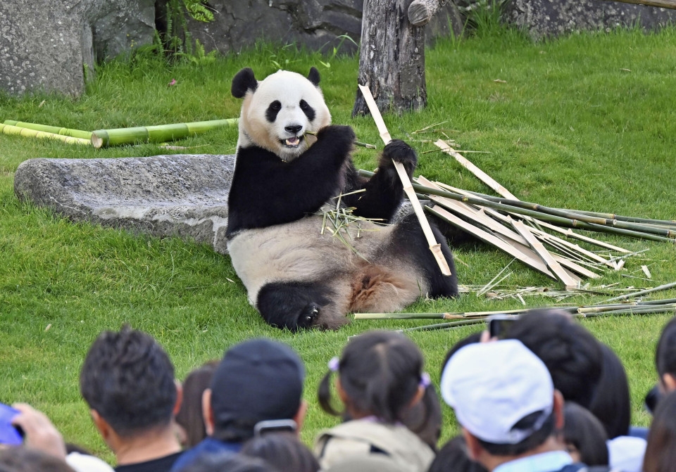 FOCUS: China's "panda diplomacy" in focus as zero moment may come in Japan
