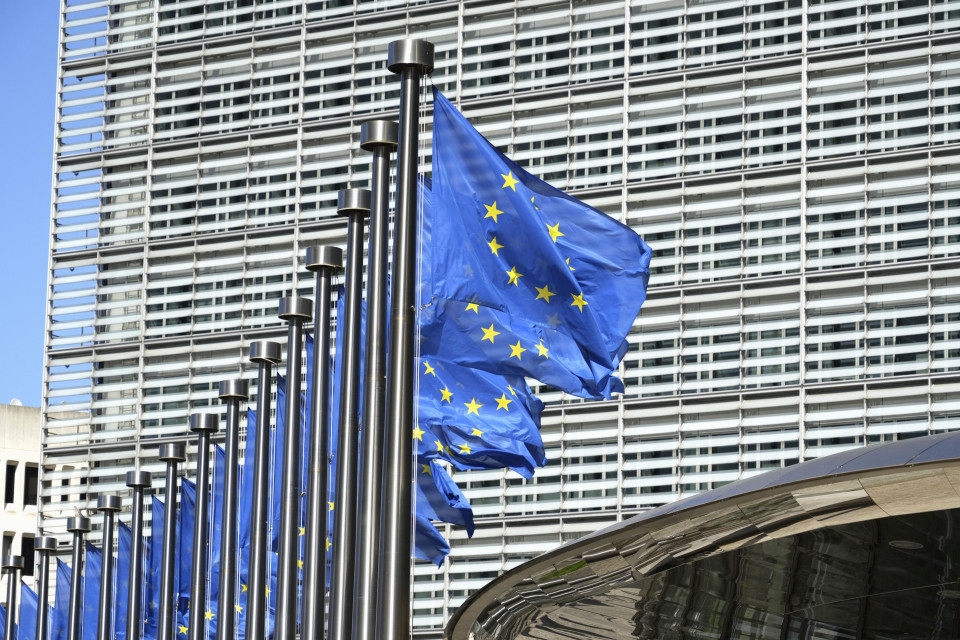 EU proposes global eel trade curbs despite Japan's opposition