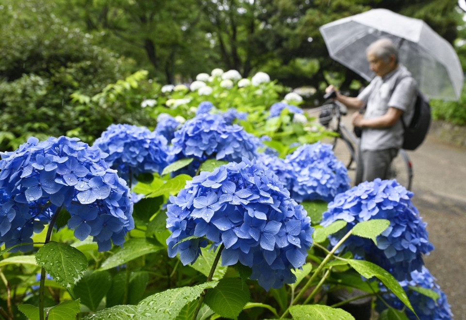 Kyodo News Digest: June 11, 2025