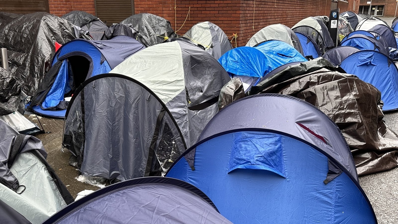 Minister for Justice to seek significant reform of Irish asylum laws