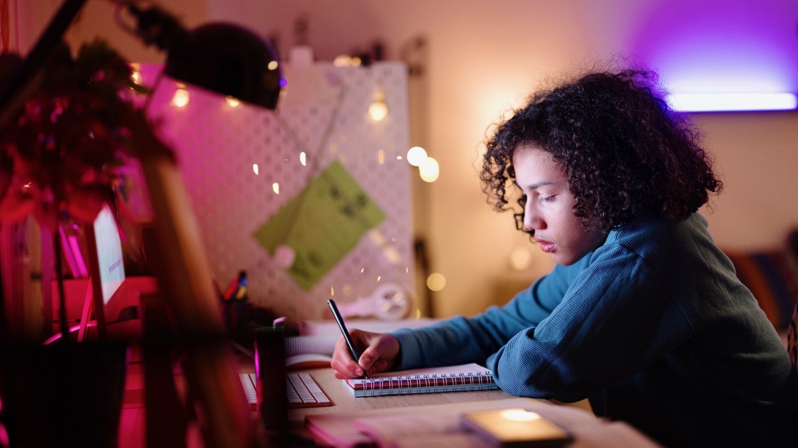 Leaving Cert 2025: Let's revise with help from RTÉ Study Hub