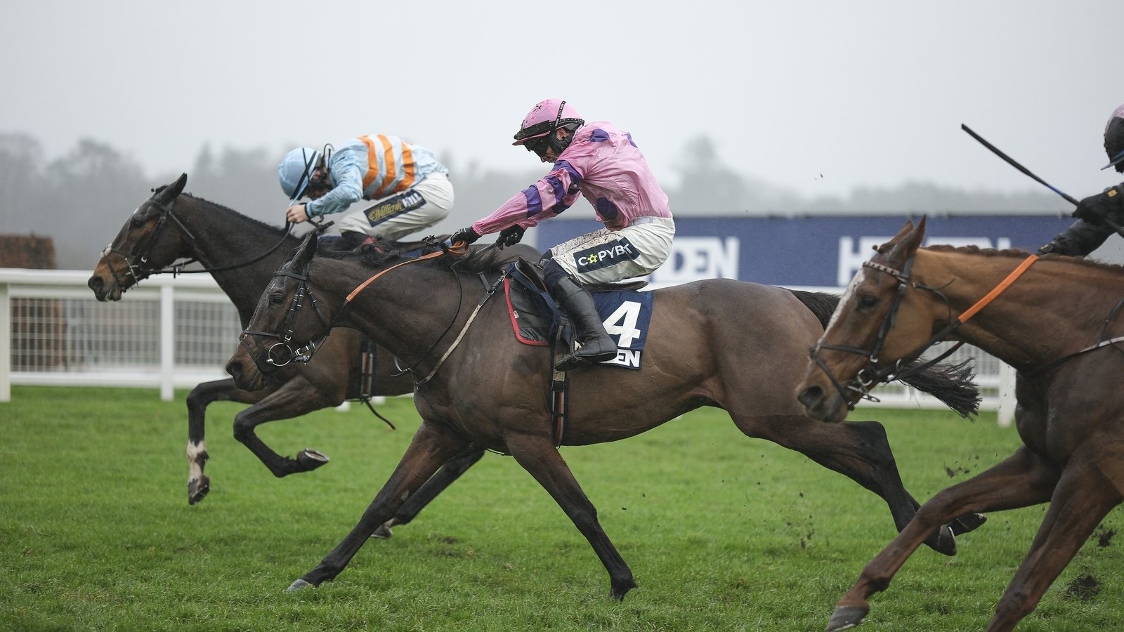 Clockwise track could see Stayers go like clockwork for Crambo