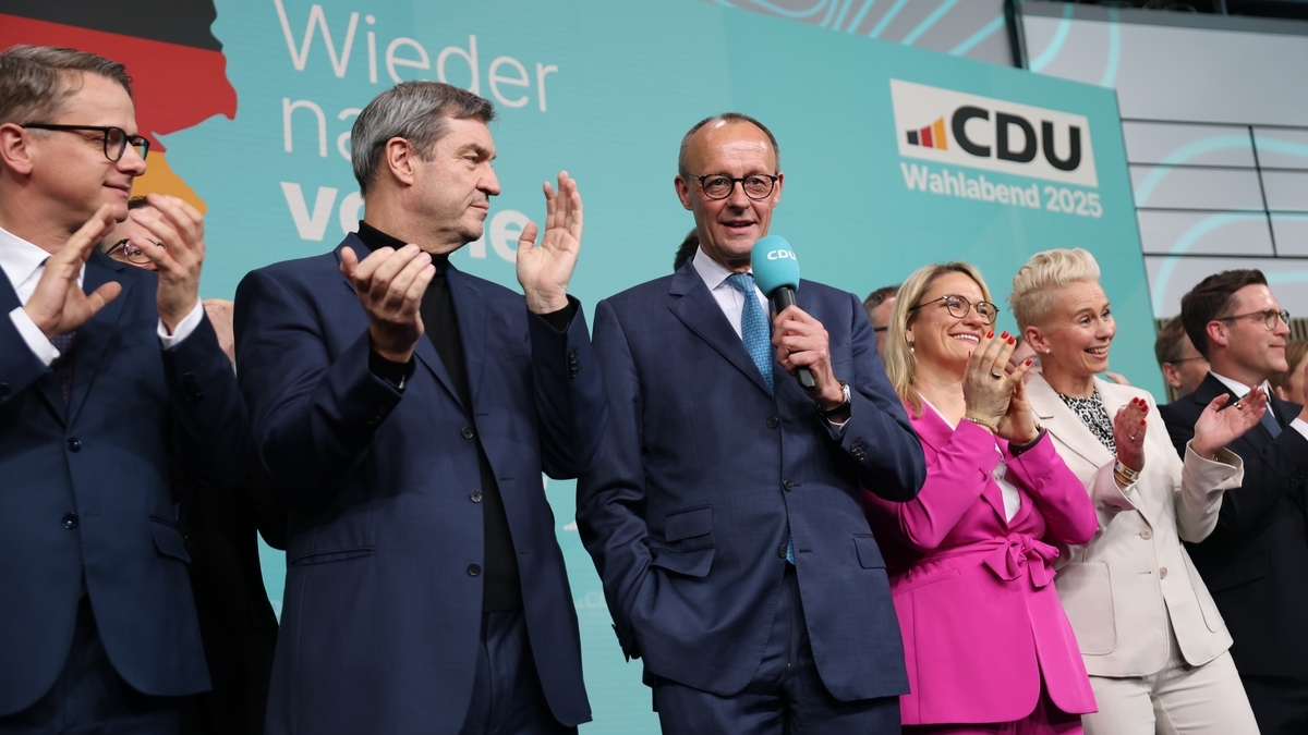 Merz vows to curb irregular migration and stop the rise of anti-migration AfD party