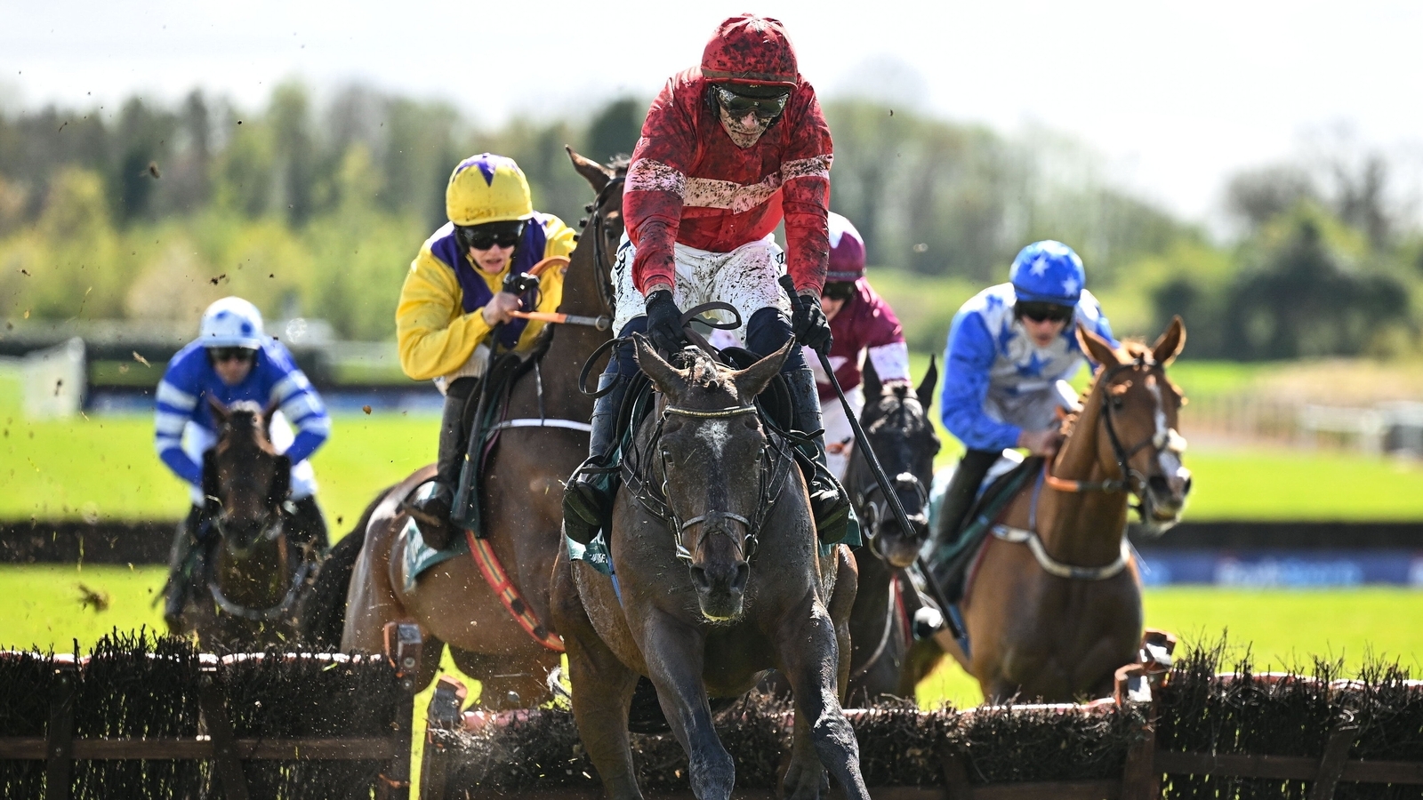 Fairyhouse round-up: Blue Lemons impresses in landing Juvenile Hurdle