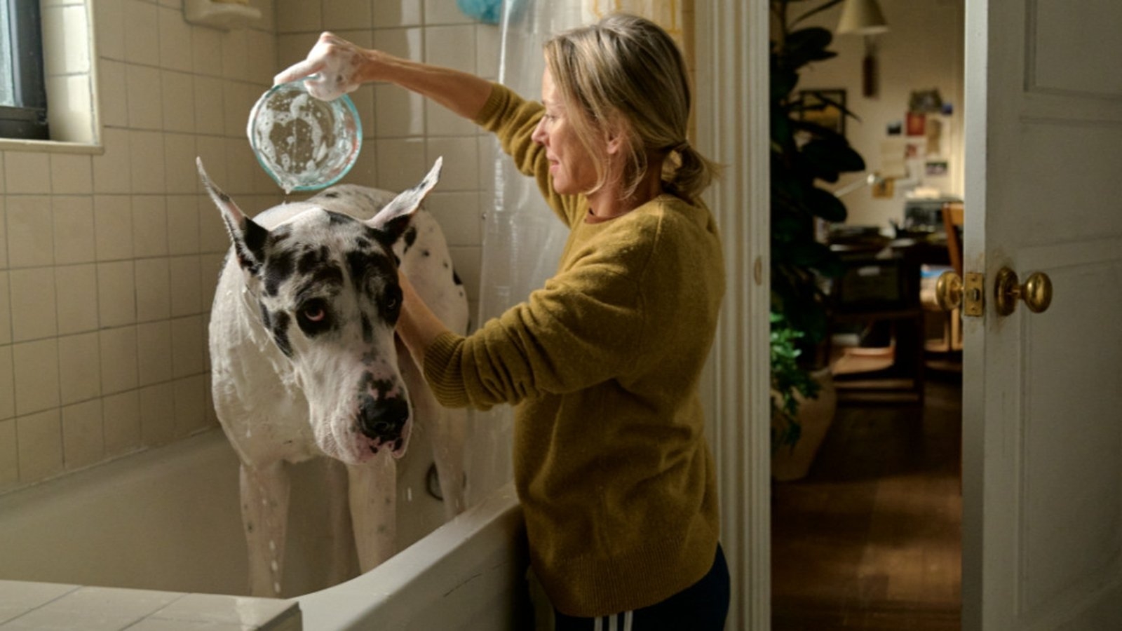 Comfort movie The Friend is a must for dog lovers