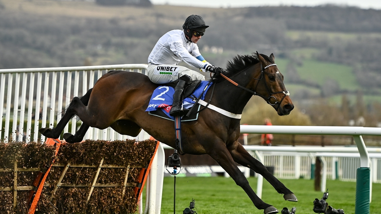 Constitution Hill confirmed for Punchestown Festival 'barring any hiccups'