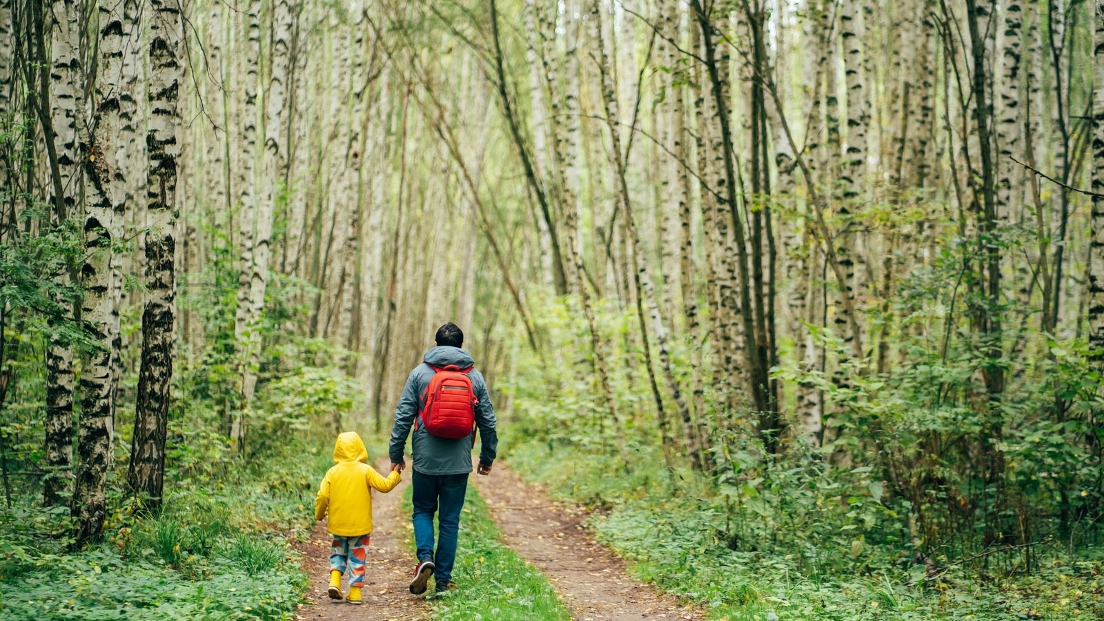 Ecolution: Have you ever heard of forest bathing?